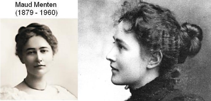 Maud Leonora Menten