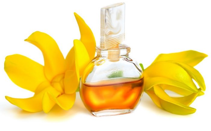 Ylang Ylang essential oil