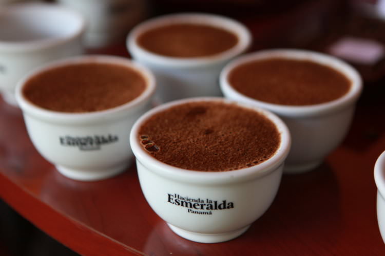 Hacienda La Esmeralda Coffee