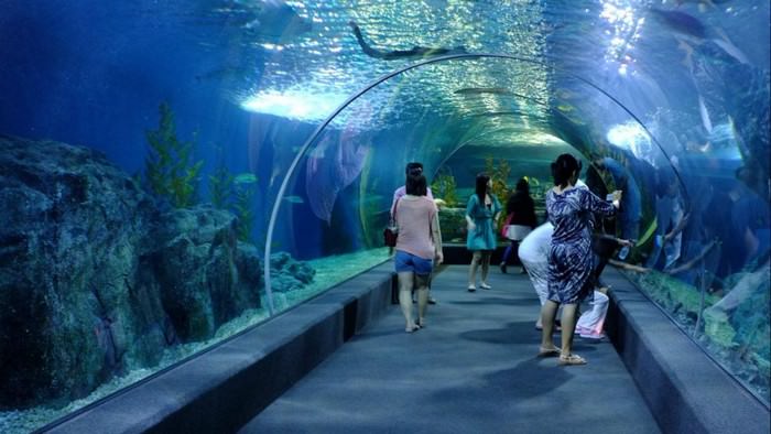 Sea Life Bangkok