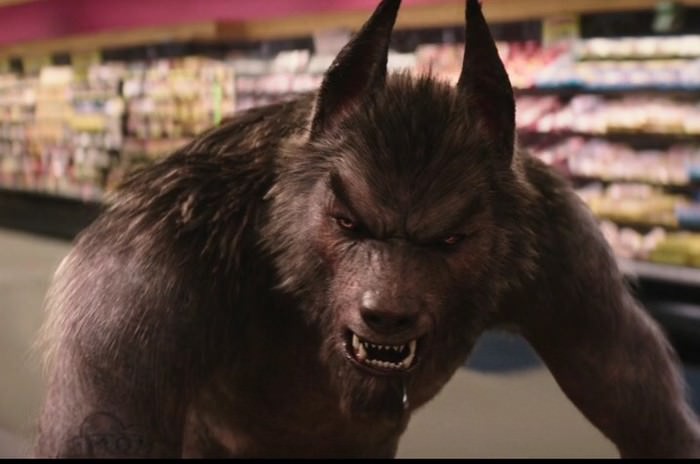 Converse Werewolf Scariest Monsters
