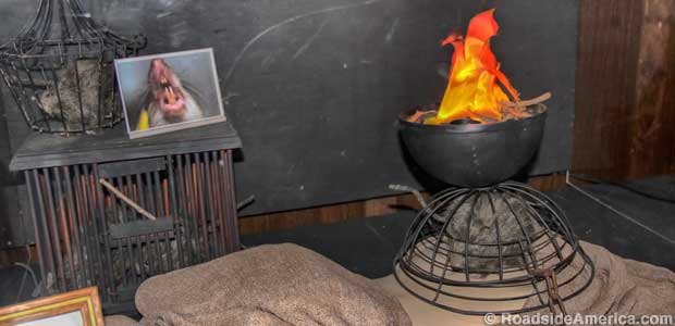 Rat torture