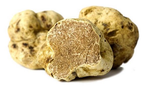 Most Expensive Foods and Spices