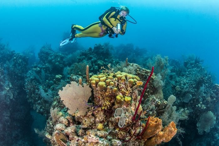 Glovers Reef in Belize