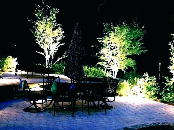 Top 10 Landscaping Ideas for 2019