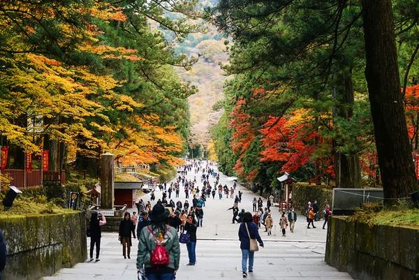 Nikko Toshogu Shrine