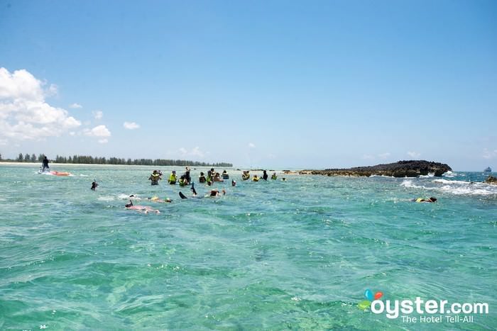 best scuba diving beaches