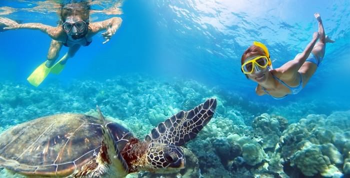 Turtle Beach in the US Virgin Islands
