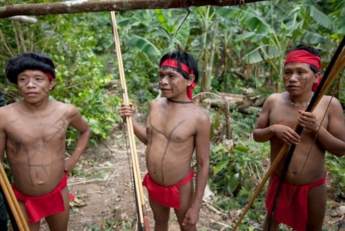 Burial Ritual Yanomami Tribe