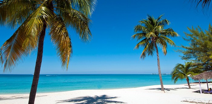 The Top 5 Things To Do In Grand Cayman Wonderslist The Top 5 Things To Do In Grand Cayman
