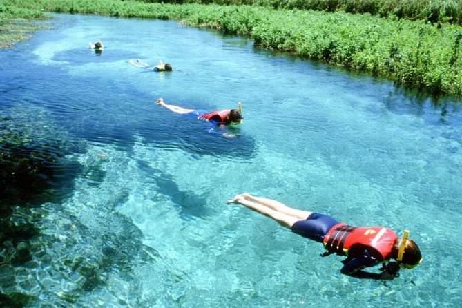 Rio Sucuri, Brazil
