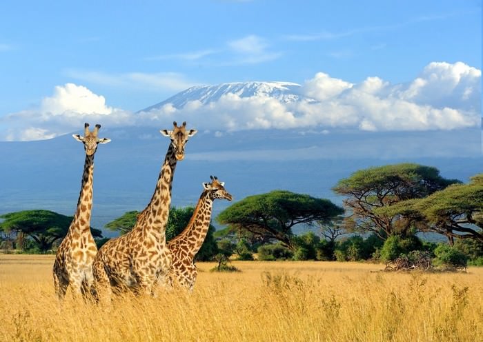 Beautiful places on Kilimanjaro in Africa