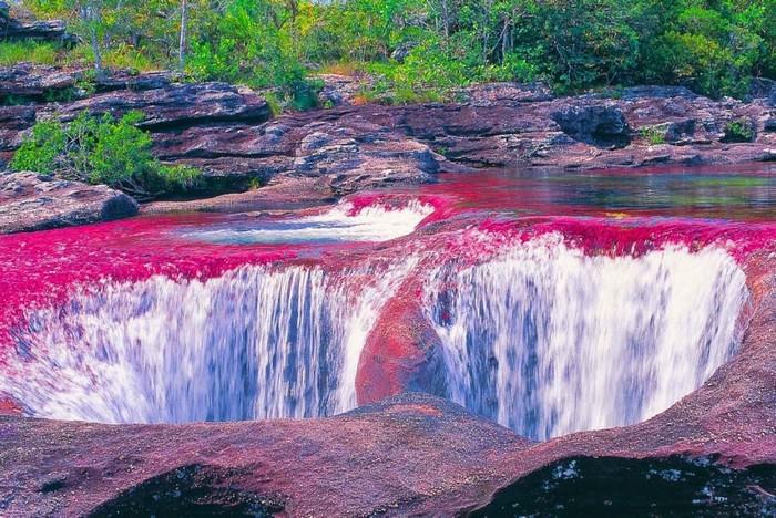 Caño Cristales, Colombia