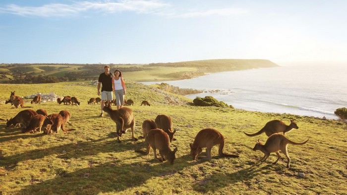 Kangaroo Island, Australia