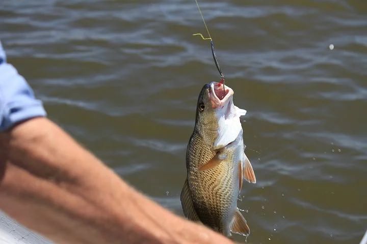 Best Fishing Spots