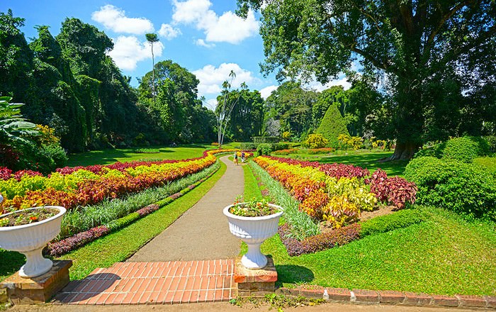 Peradeniya royal botanical garden