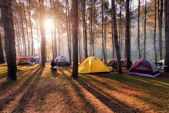 Camping must do experiences