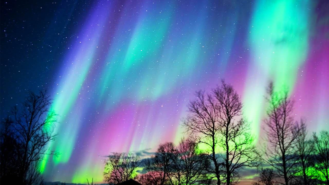 See the Northern Lights
