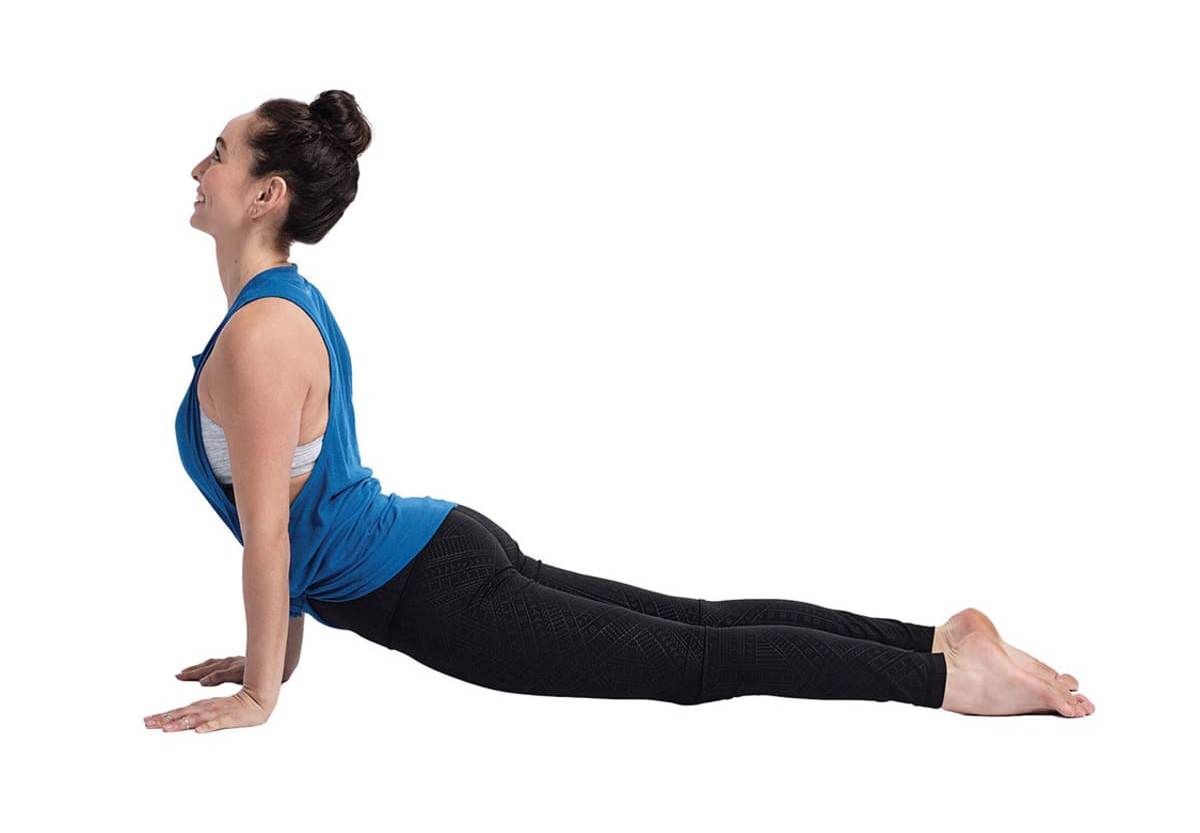 Upward Facing Dog Yoga