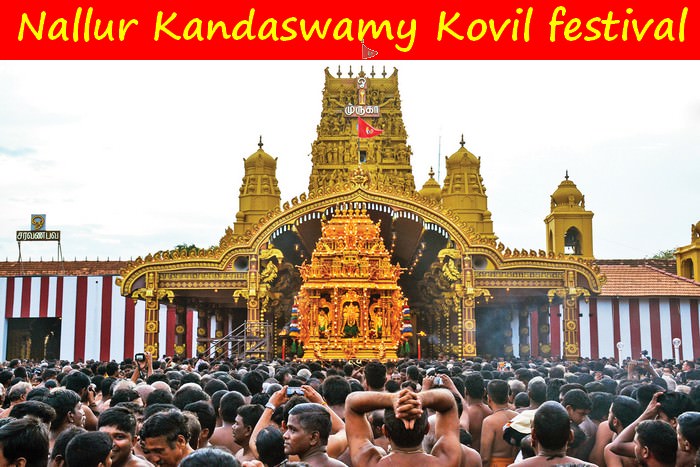 Nallur Kandaswamy Kovil festival