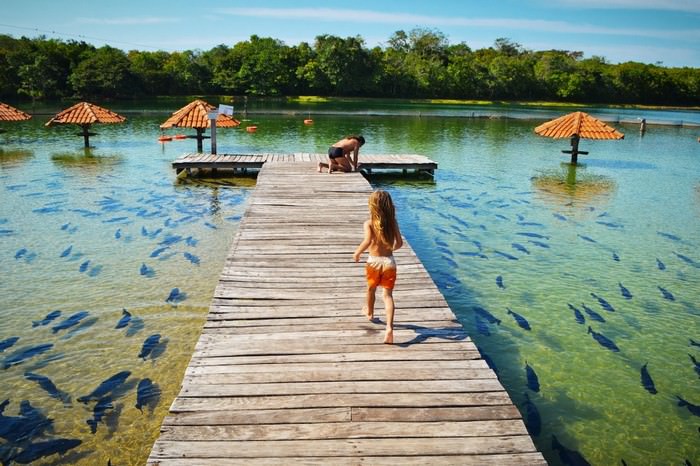 Bonito, Brazil Places You Should Visit in South America