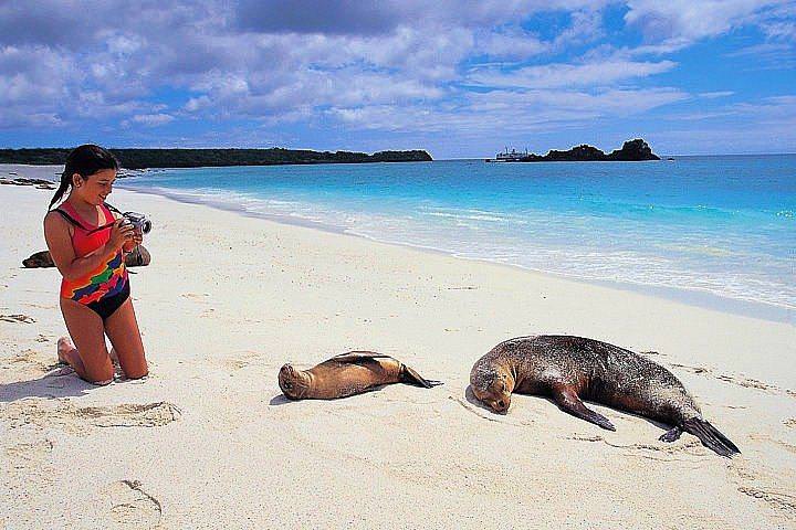 Ilhas Galápagos Ecuador