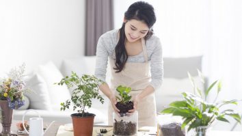Health Benefits of Houseplants