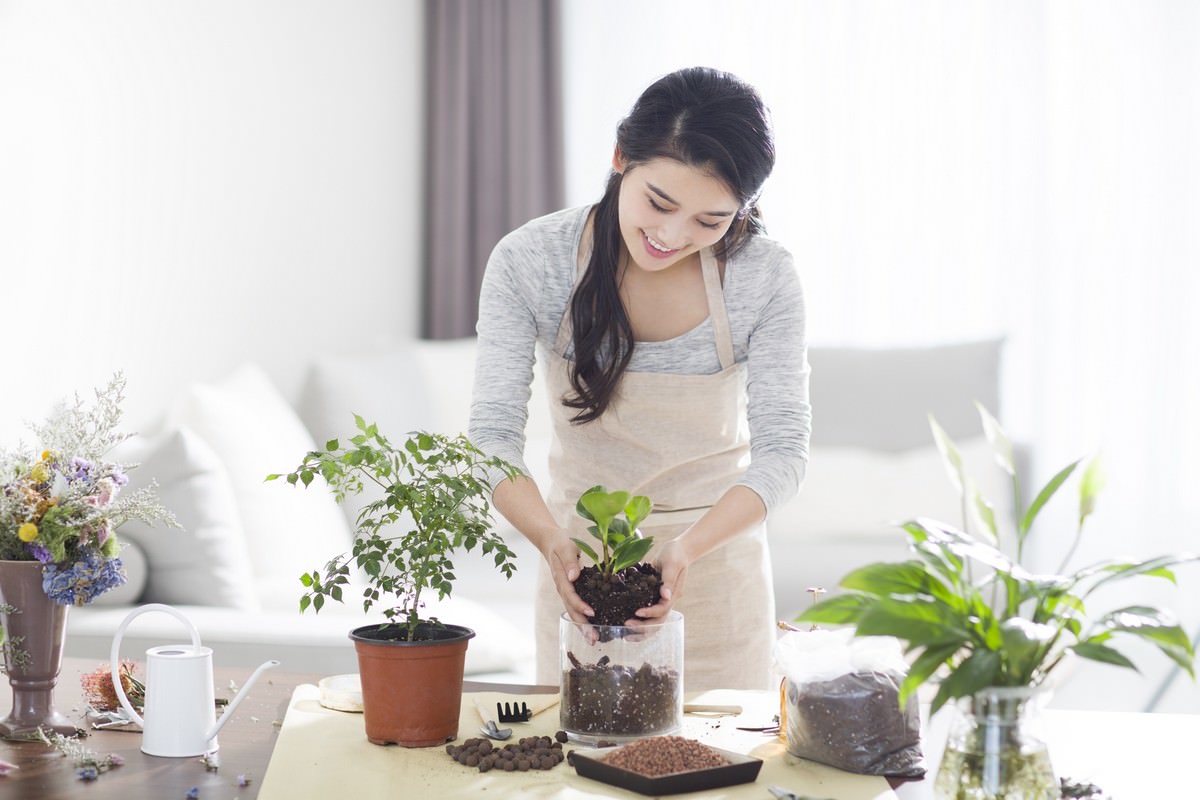 10 Amazing Health Benefits for Placing Plants in your Home 1 Health Benefits of Houseplants