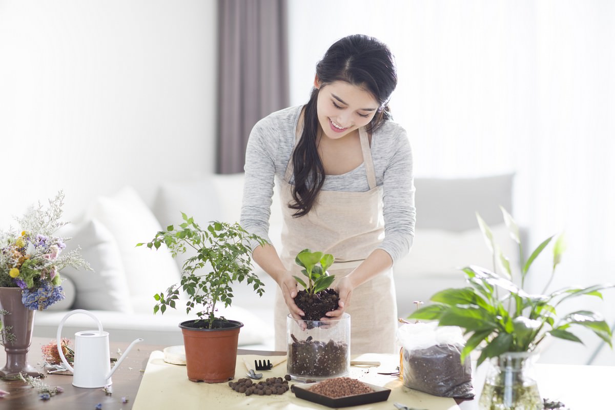 10 Amazing Health Benefits for Placing Plants in your Home