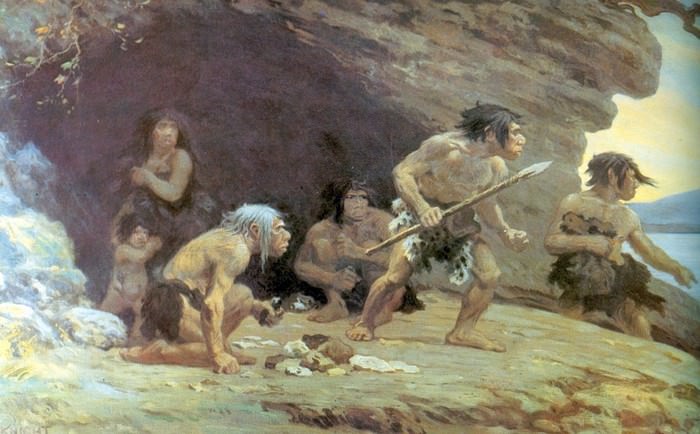 Extinct Animals Neanderthal