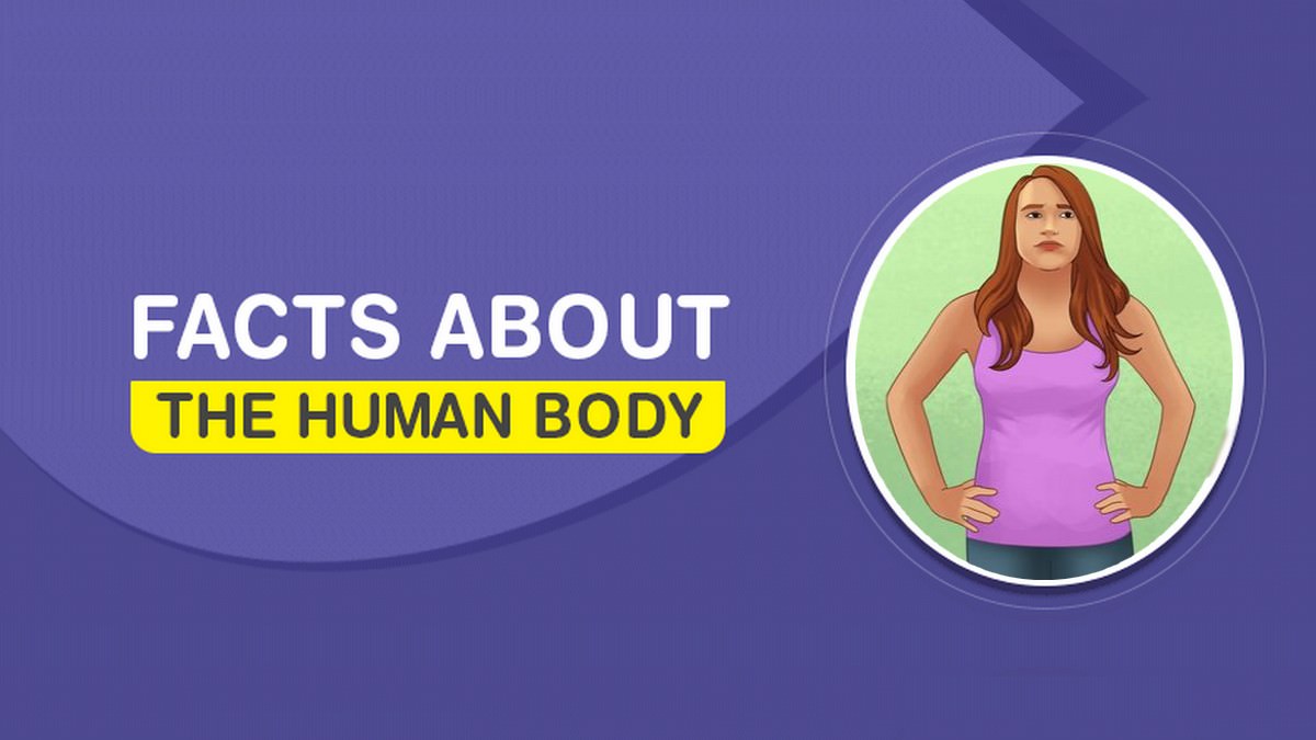 Disturbing Facts About The Human Body