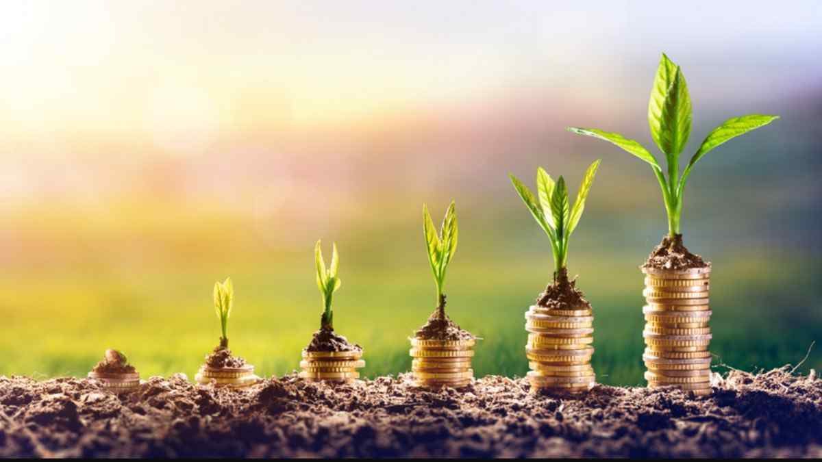 Here is why you should look at sustainable investing