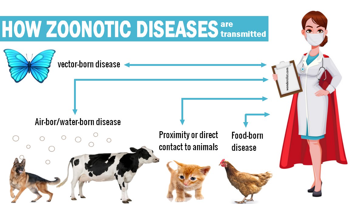 Top 10 most common zoonotic diseases