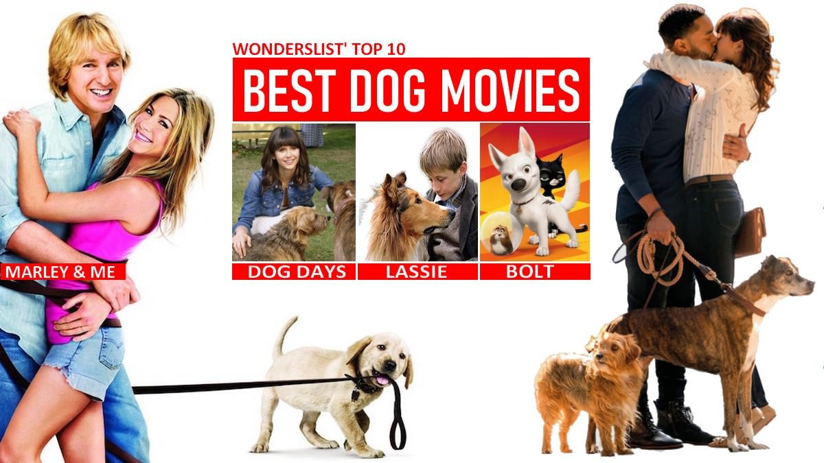 Dog Movies – Top 10 Dog Movies for a Great Weekend