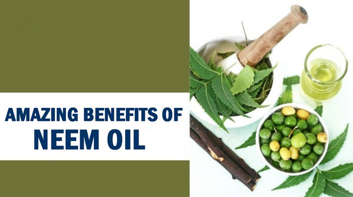 Top 10 benefits of Neem oil you should know about 1 Benefits of Neem Oil