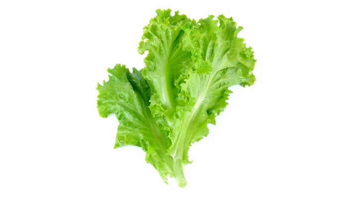 Top 15 healthiest green vegetables you should be eating 13 Lettuce Healthy Green Vegetables