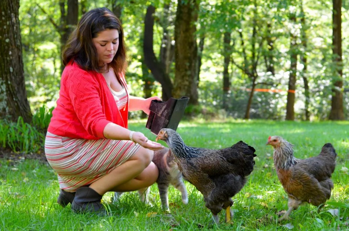 Surprising Benefits of Owning Chickens