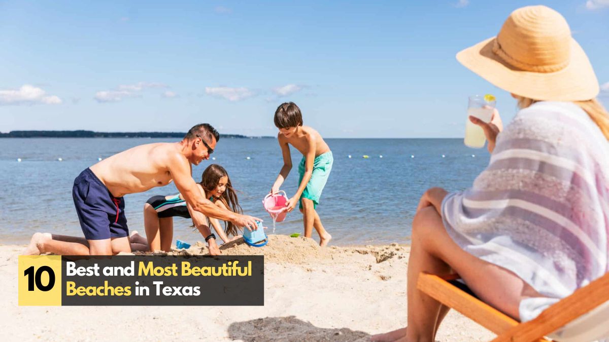 10 Best Beaches in Texas for Every Kind of Traveler