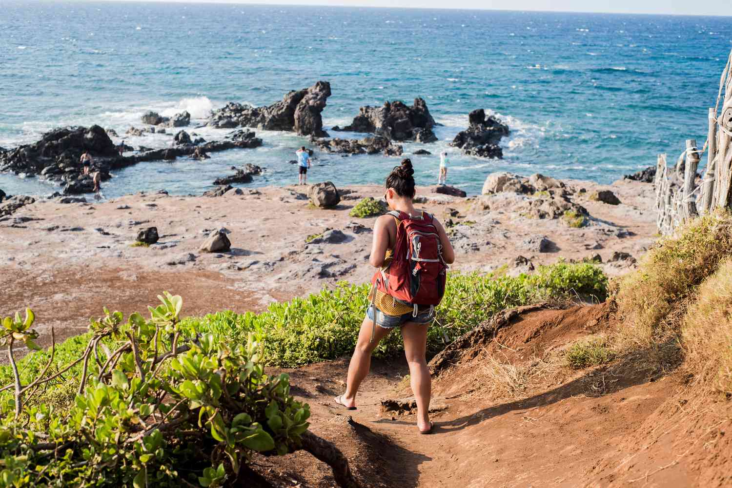 The Island of Maui